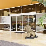 Playa Real Hotel